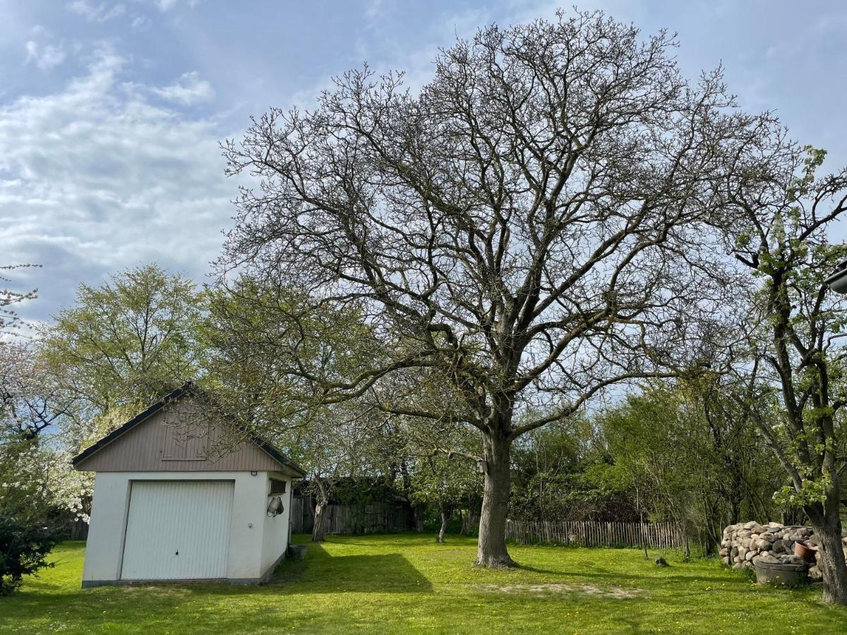 Вілла Kleines Haus Am Feld Rehna Екстер'єр фото